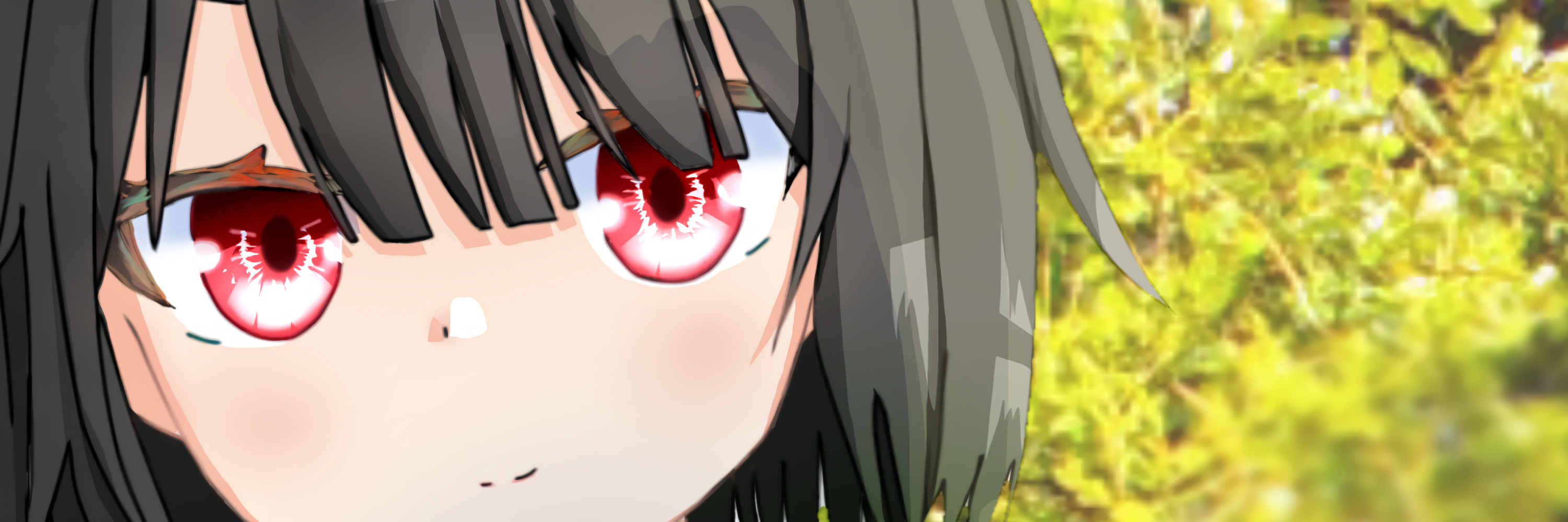 ヘッダー画像
